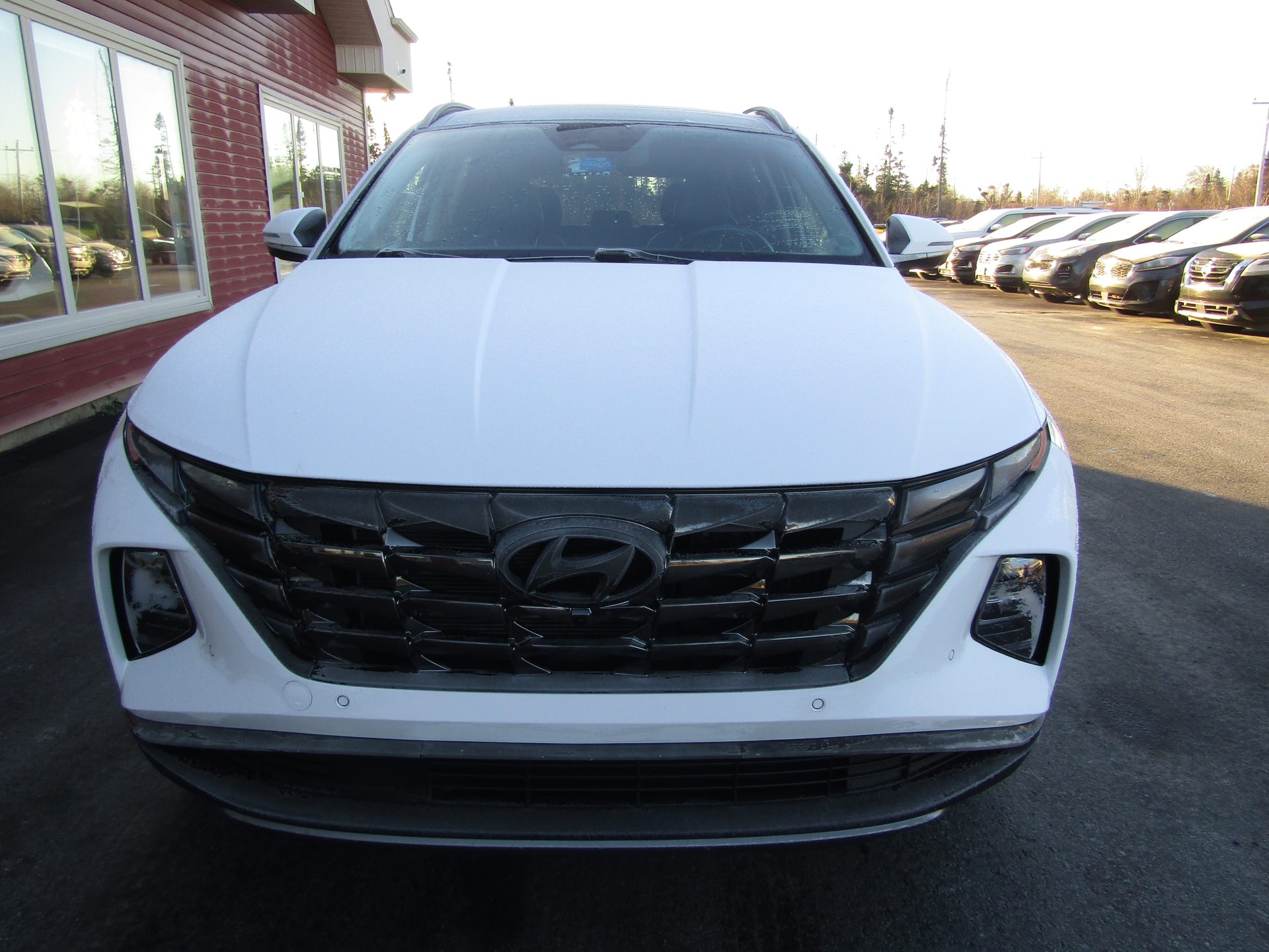 Hyundai Tucson Hybrid Ultimate AWD - Image 3