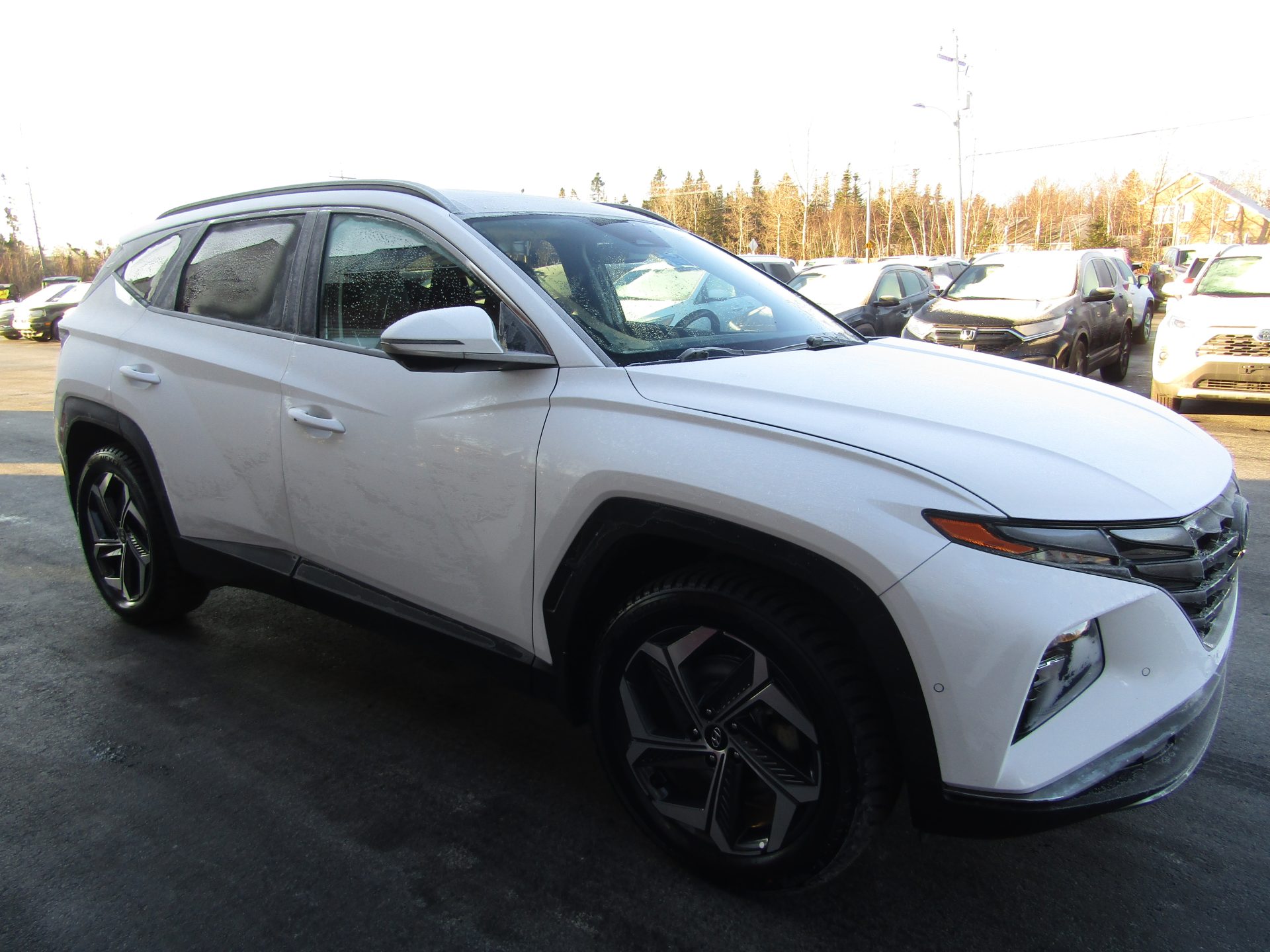 Hyundai Tucson Hybrid Ultimate AWD - Image 4